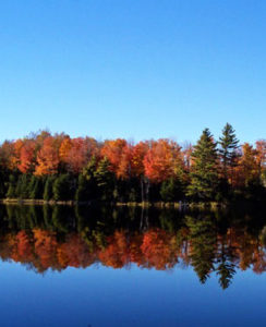 Lake Reflecting Fall colors of trees