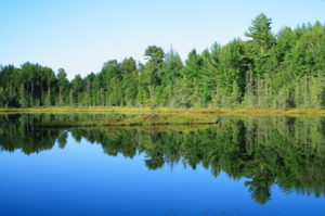 Lake in Northern Wisconsin reflecting Blue sky and trees.